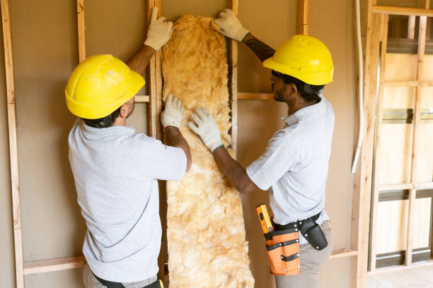 Best Wall Insulation Installation  in Pleasant Grove, OH